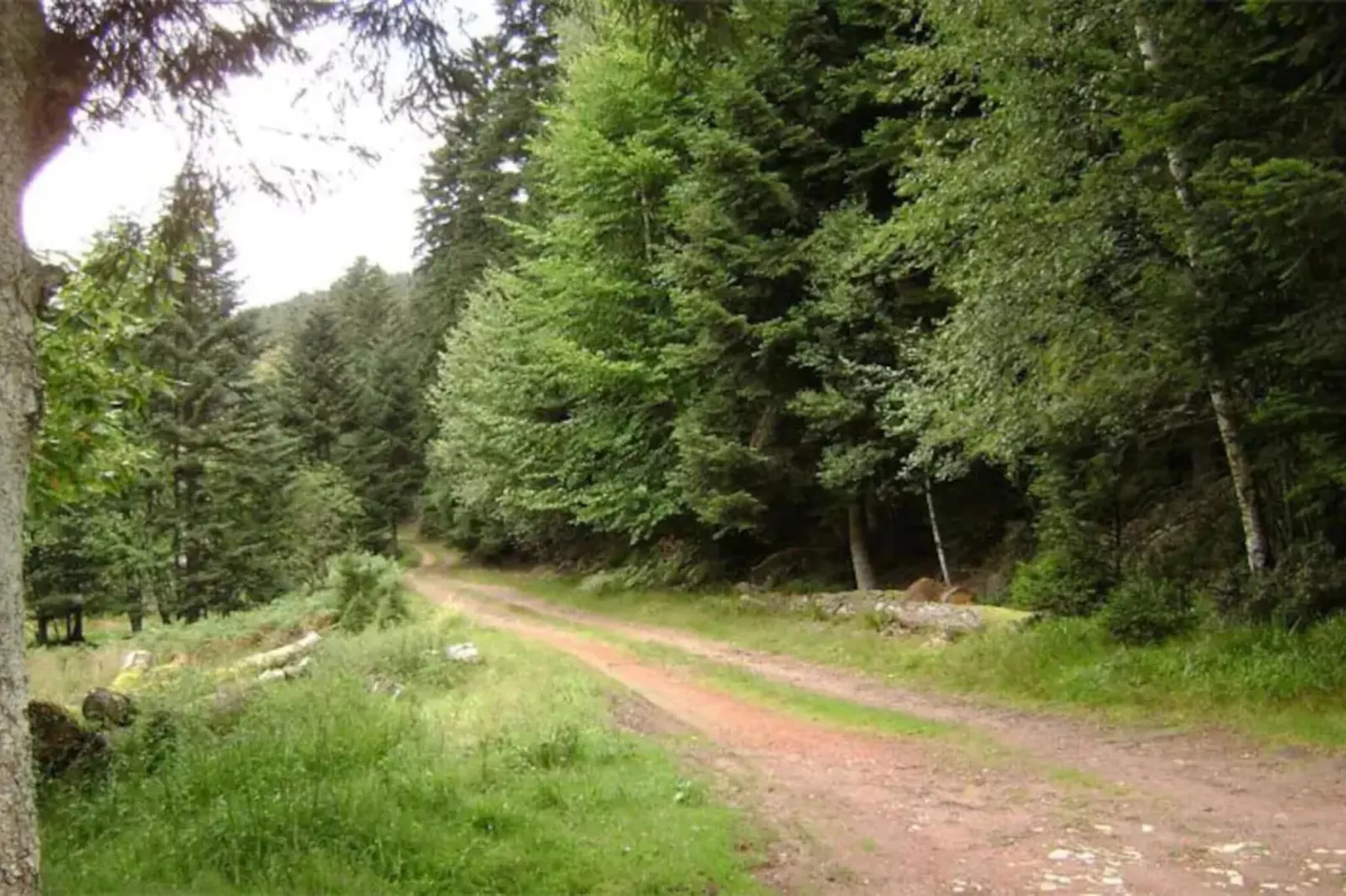 Gîte HANSEL-Uitzicht zomer