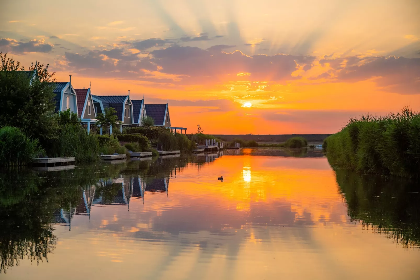 Resort Poort van Amsterdam 18-Gebieden zomer 1km