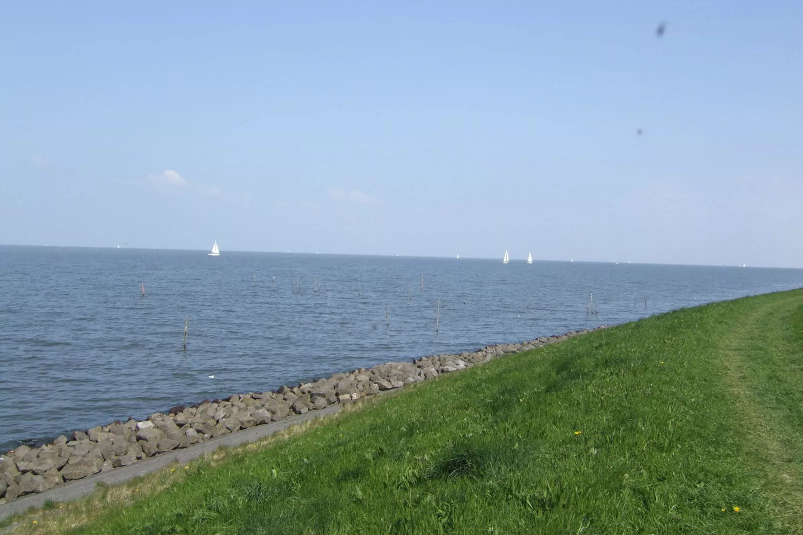 Villavakantiepark IJsselhof 12-Gebieden zomer 1km