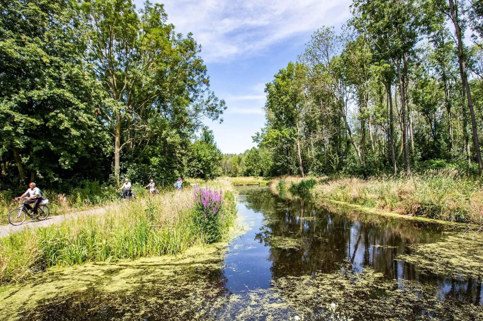 Parc De Ijsselhoeve 7-Gebieden zomer 5km