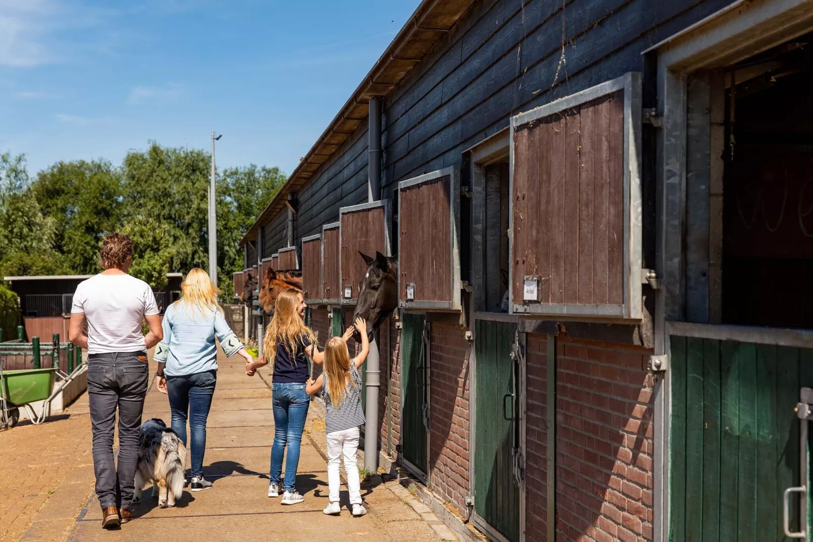 Parc De Ijsselhoeve 8-Gebieden zomer 5km