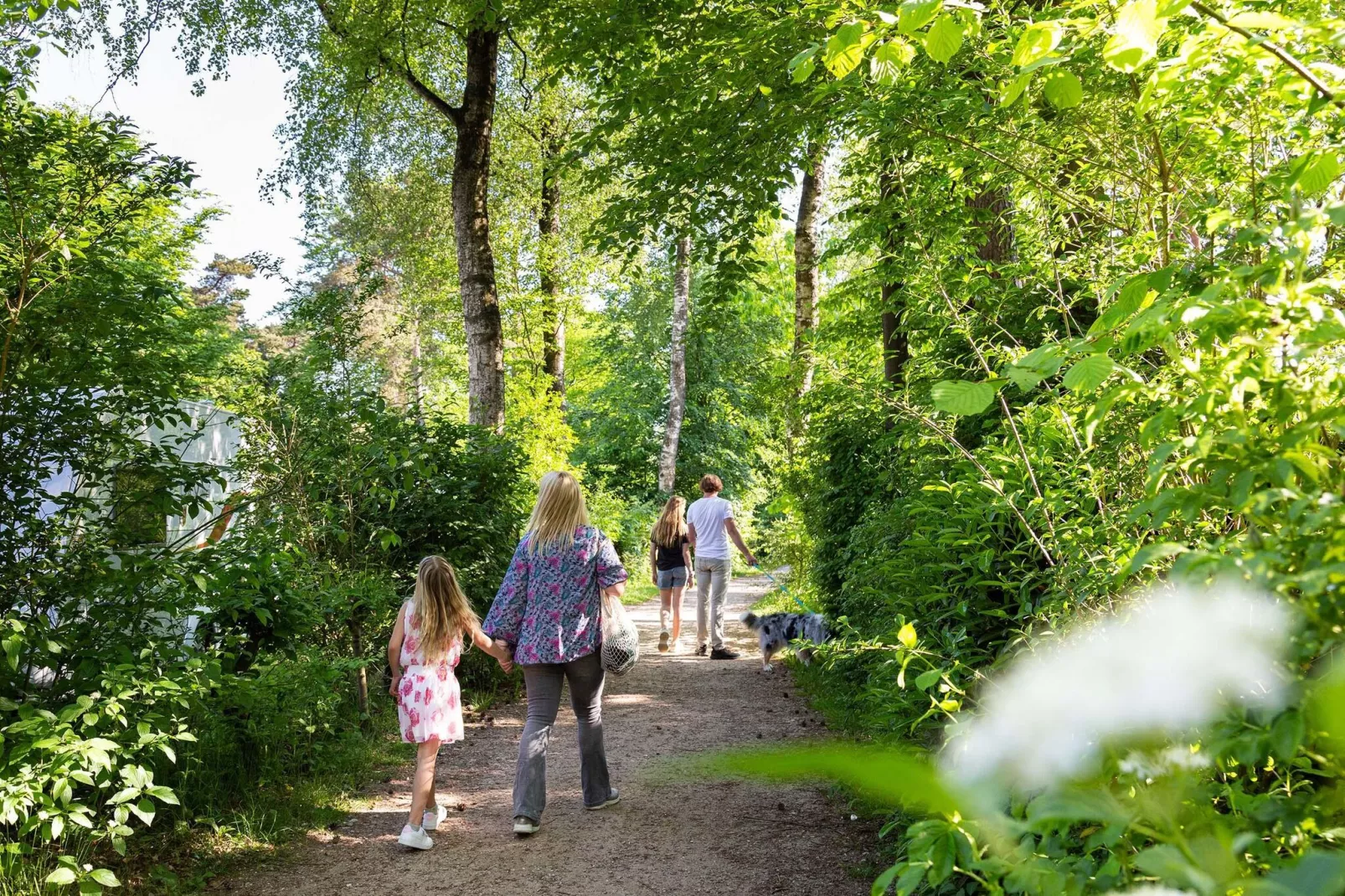 Resort Veluwe 7-Gebieden zomer 1km