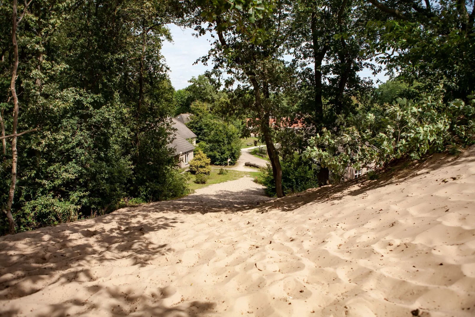 Vakantiepark Sandberghe 13-Gebieden zomer 1km