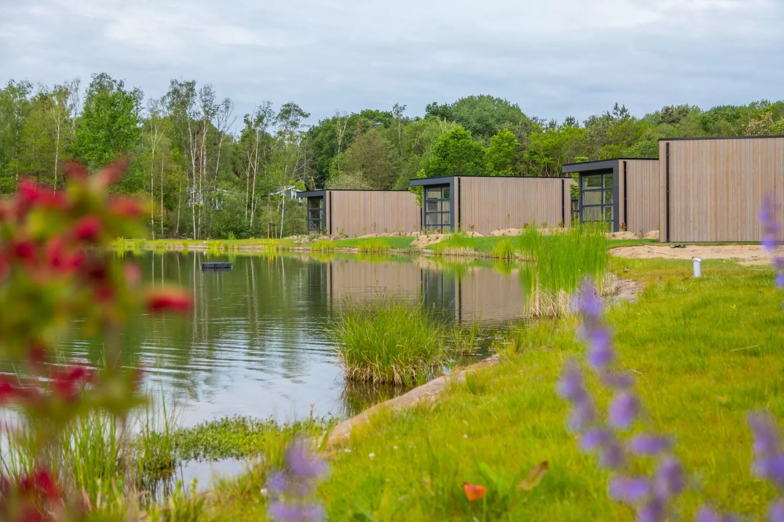 Resort Maasduinen 19-Gebieden zomer 1km