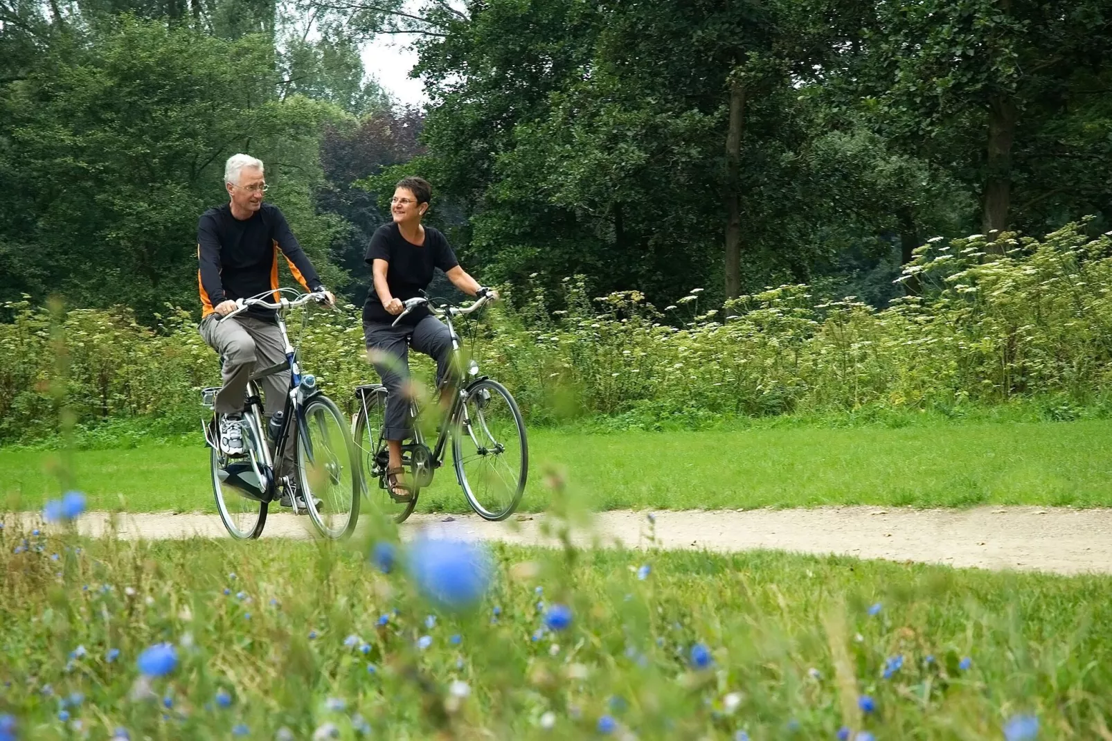 Resort Maasduinen 19-Gebieden zomer 5km