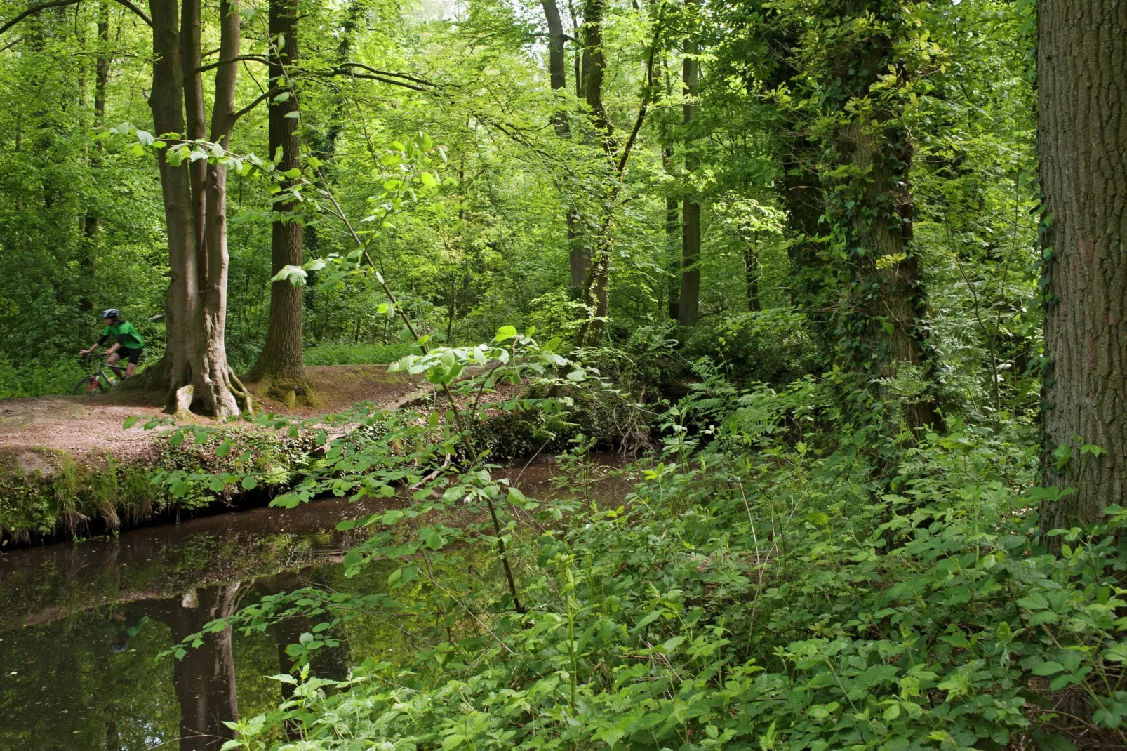 Recreatiepark Het Winkel 5-Gebieden zomer 20km