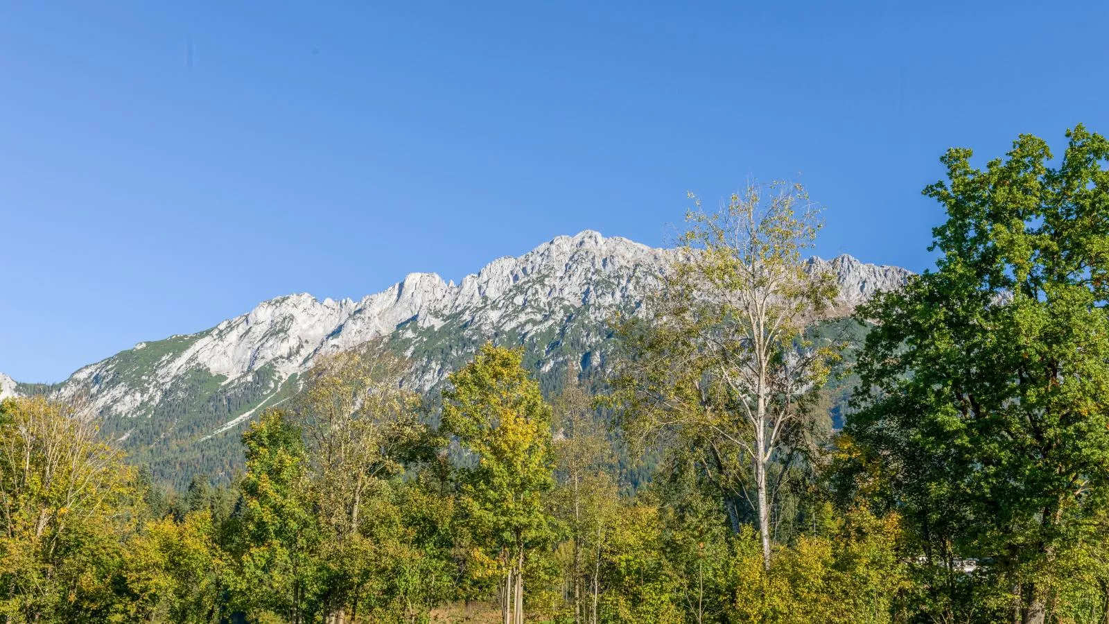 Pension Blaiken L-Gebieden zomer 5km