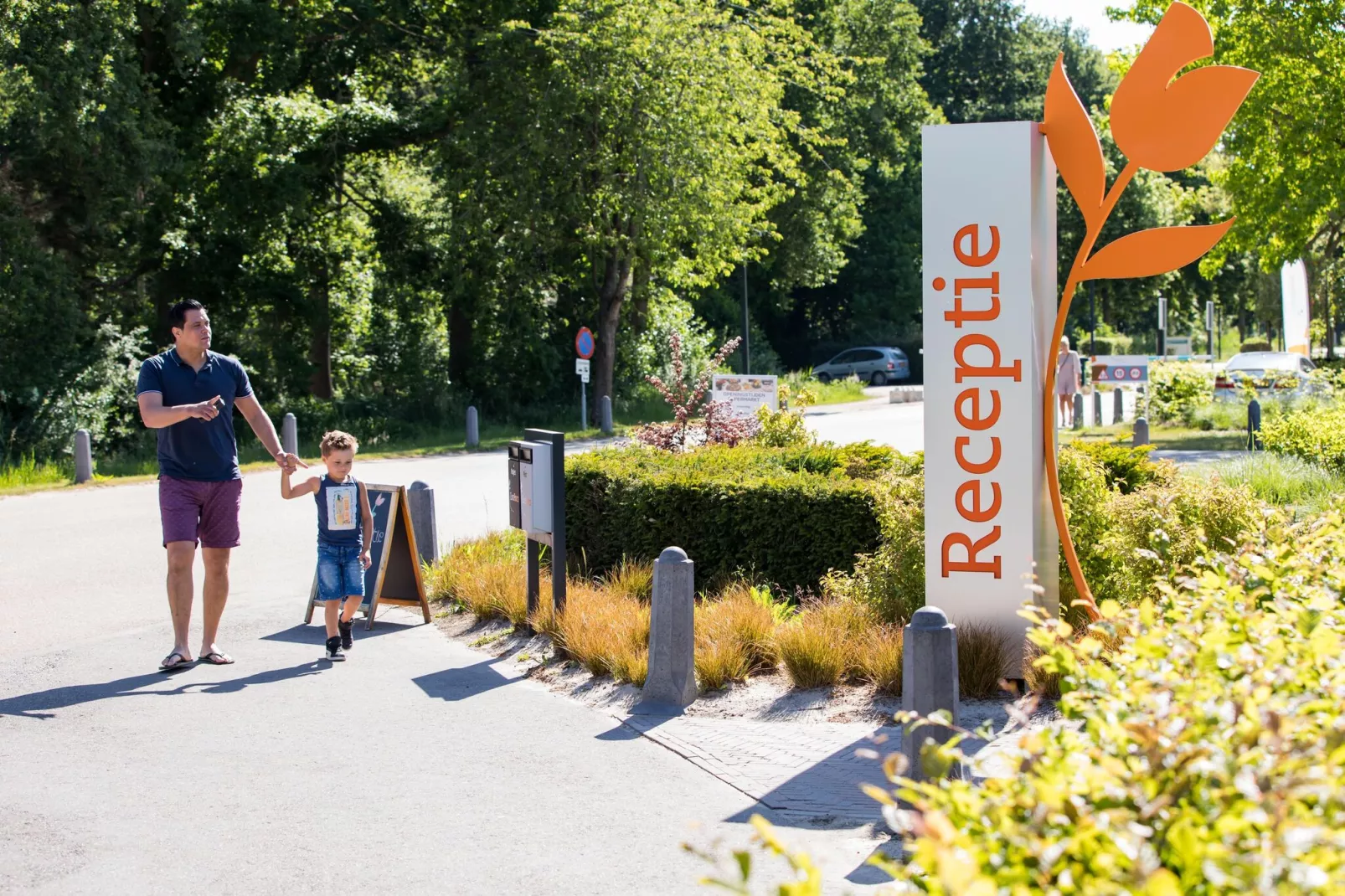 Resort Zuiderzee 9-Gebieden zomer 1km