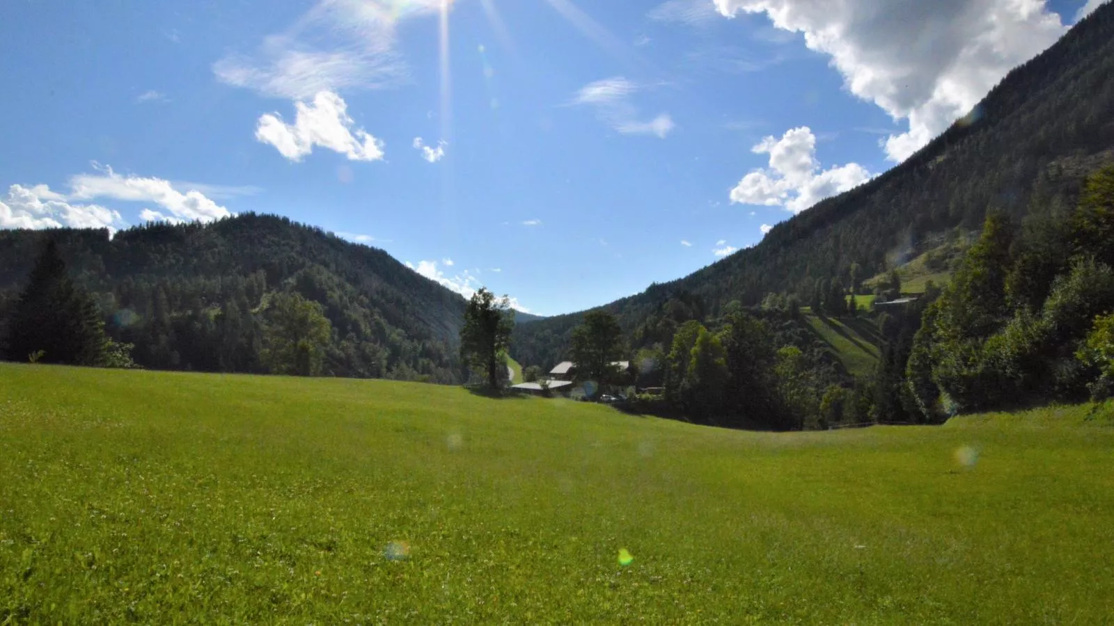 Bienenheim-Uitzicht zomer