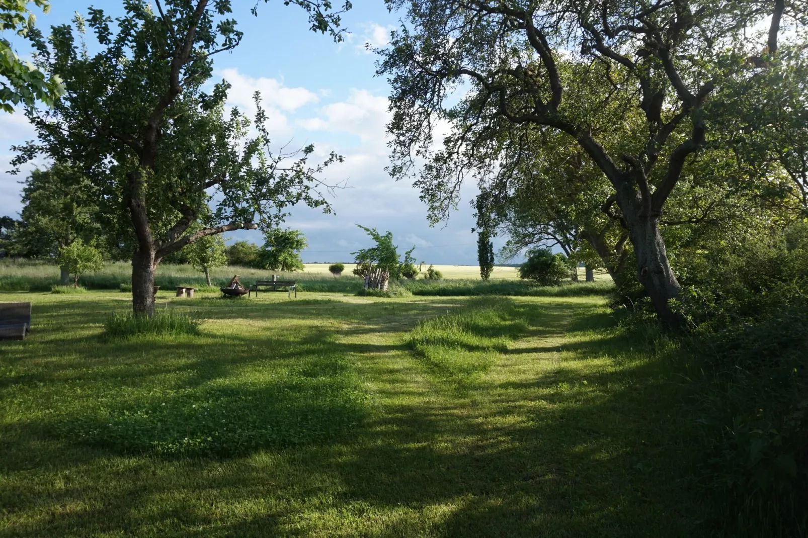 Sommerhaus Steffenshagen-Buitenkant zomer