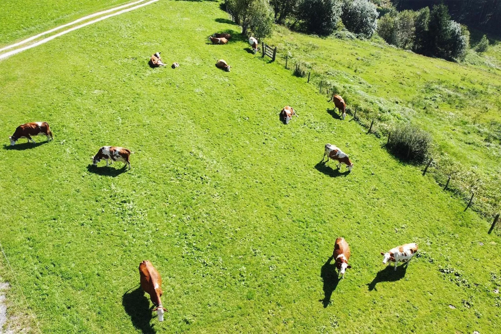 Bergliebe-Uitzicht zomer