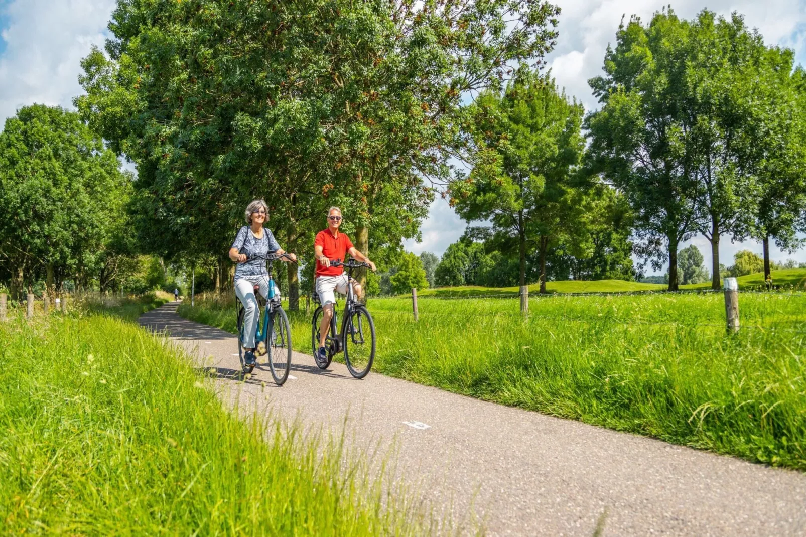 Resort aan de Maas 5-Gebieden zomer 1km