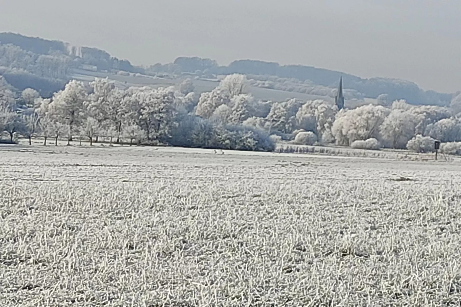 Schöne Ferienwohnung in Bissendorf nähe Osnabrück-Gebied winter 5km