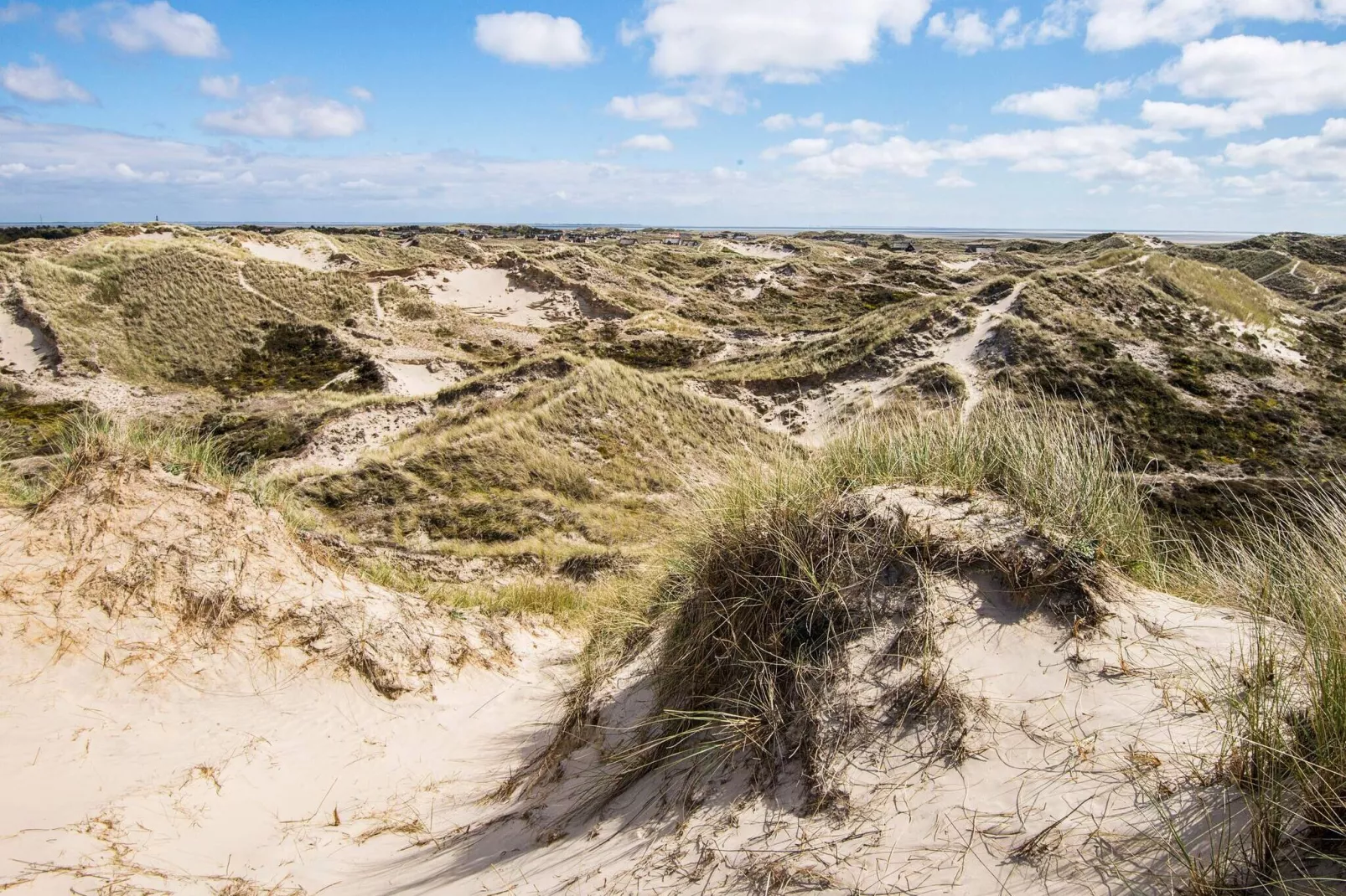 12 persoons vakantie huis in Fanø-Niet-getagd