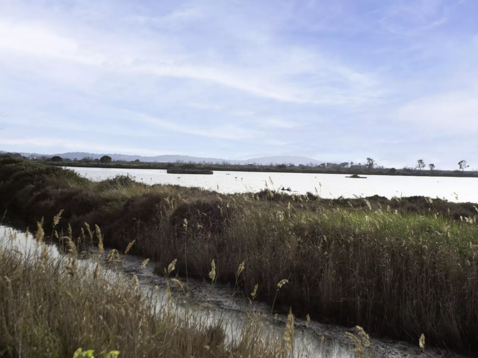 Les Vieux Salins-Omgeving