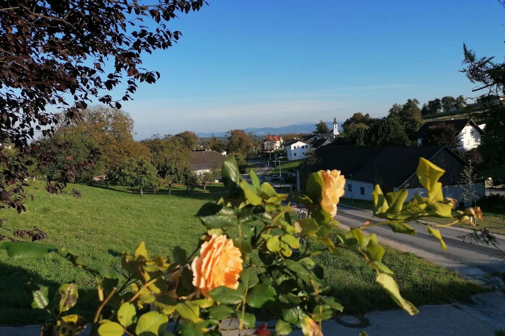 Haabergstrasse 20-Uitzicht zomer