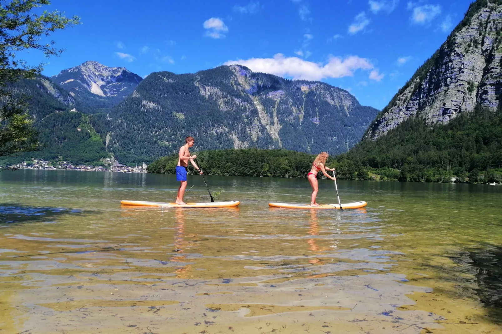 Luxery Salzkammergut Chalet G-Gebieden zomer 5km