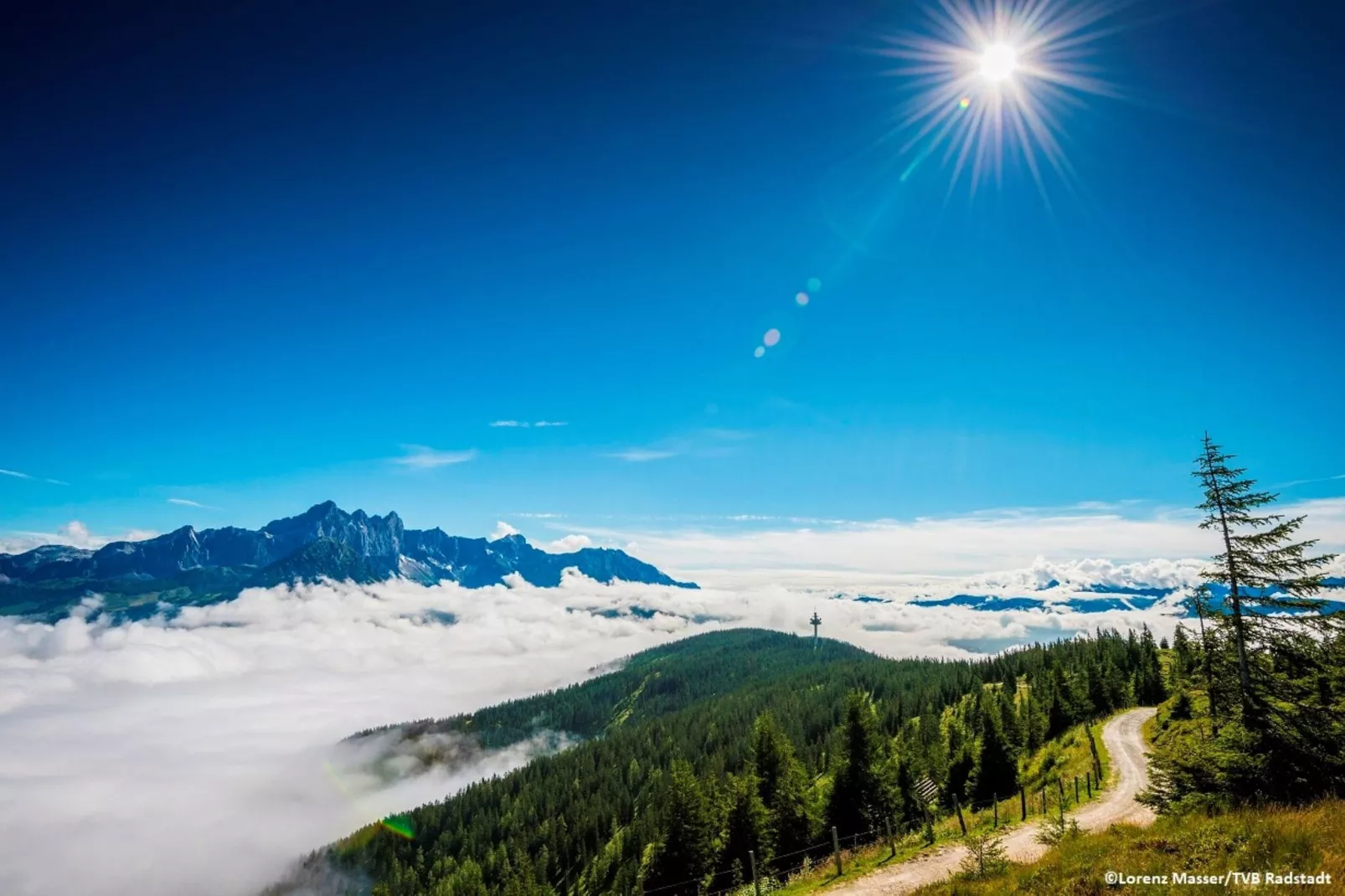 Tauernresidence Radstadt Birdiesuite-Gebieden zomer 20km