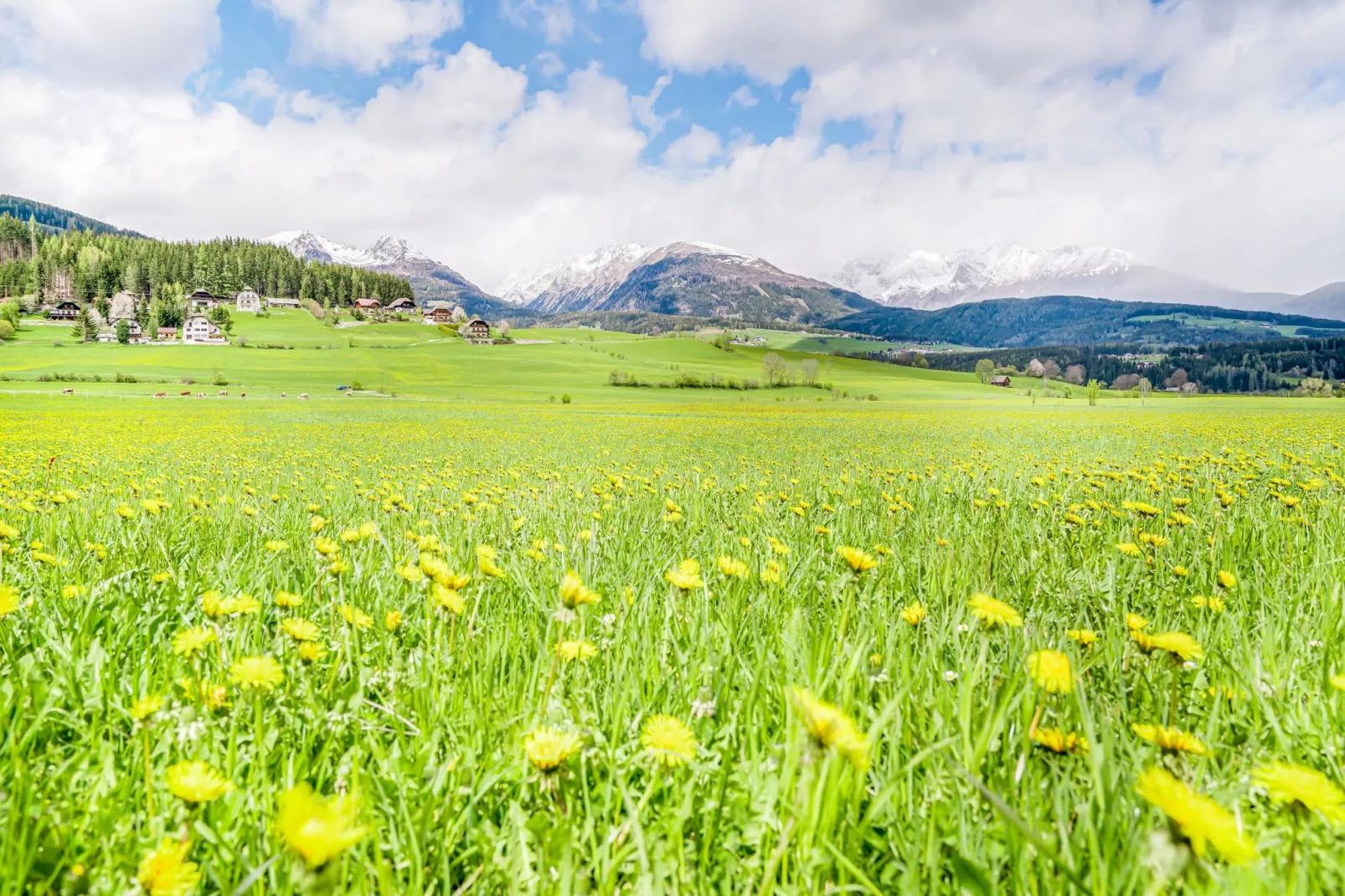 Mooi appartement in Mauterndorf met een sauna-Gebieden zomer 5km