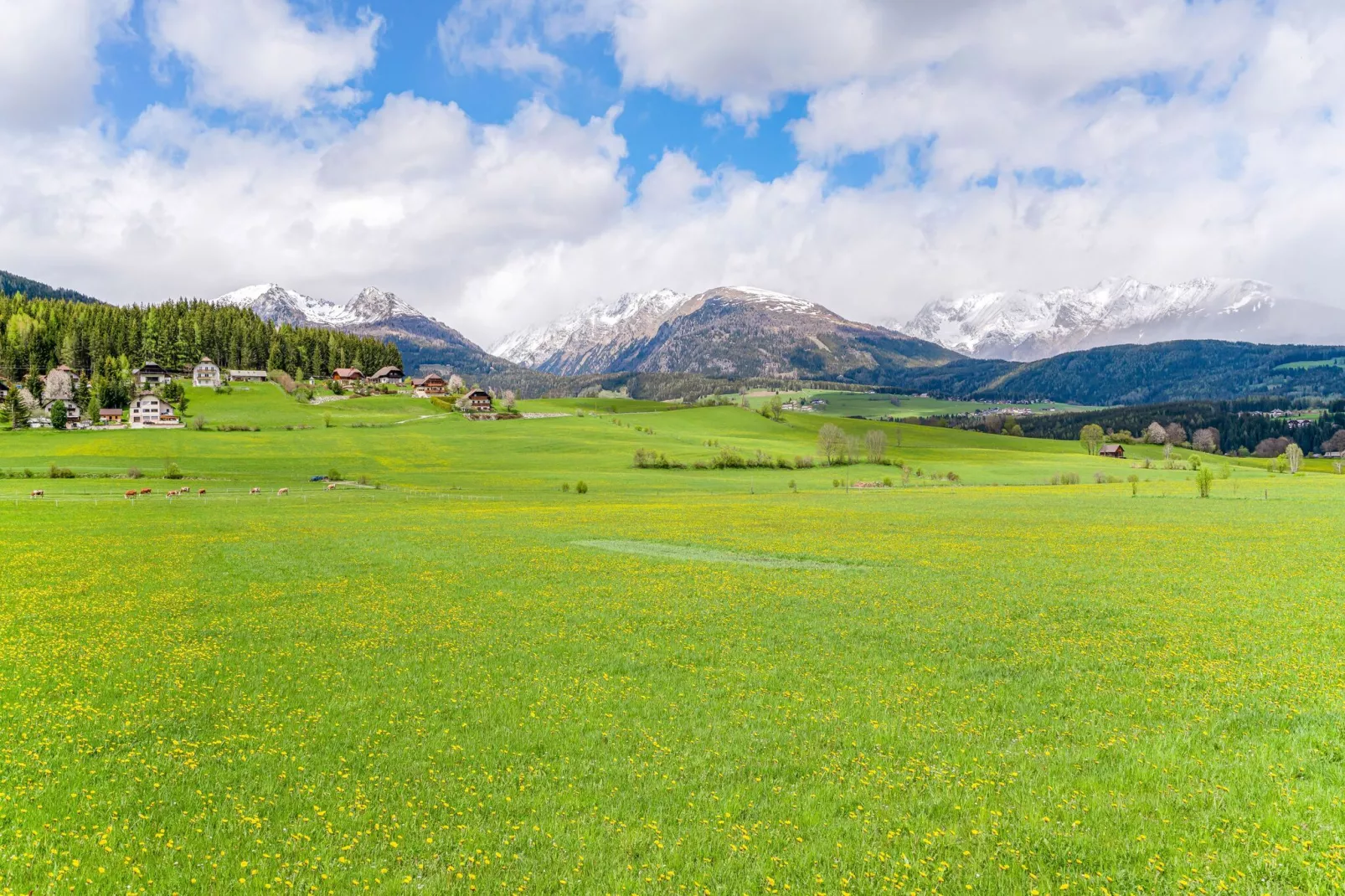 Mooi appartement in Mauterndorf met een sauna-Gebieden zomer 5km