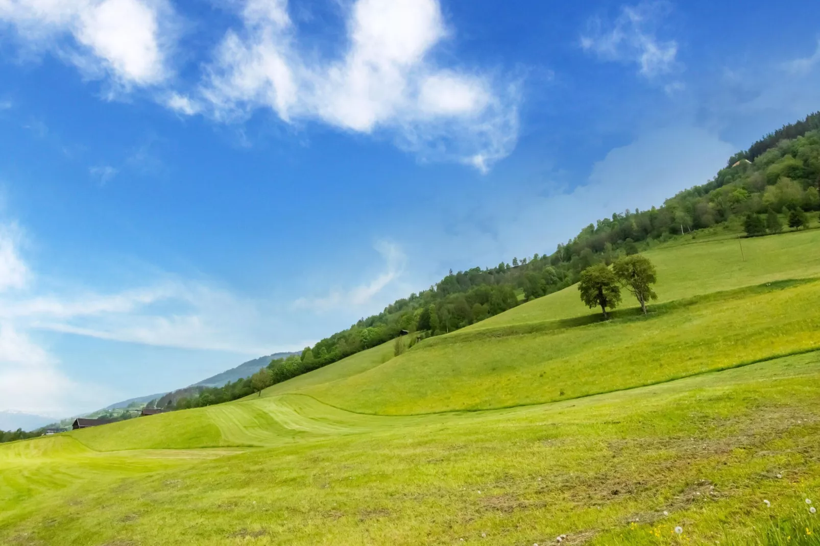 Chalet Lengberg B1-Gebieden zomer 5km