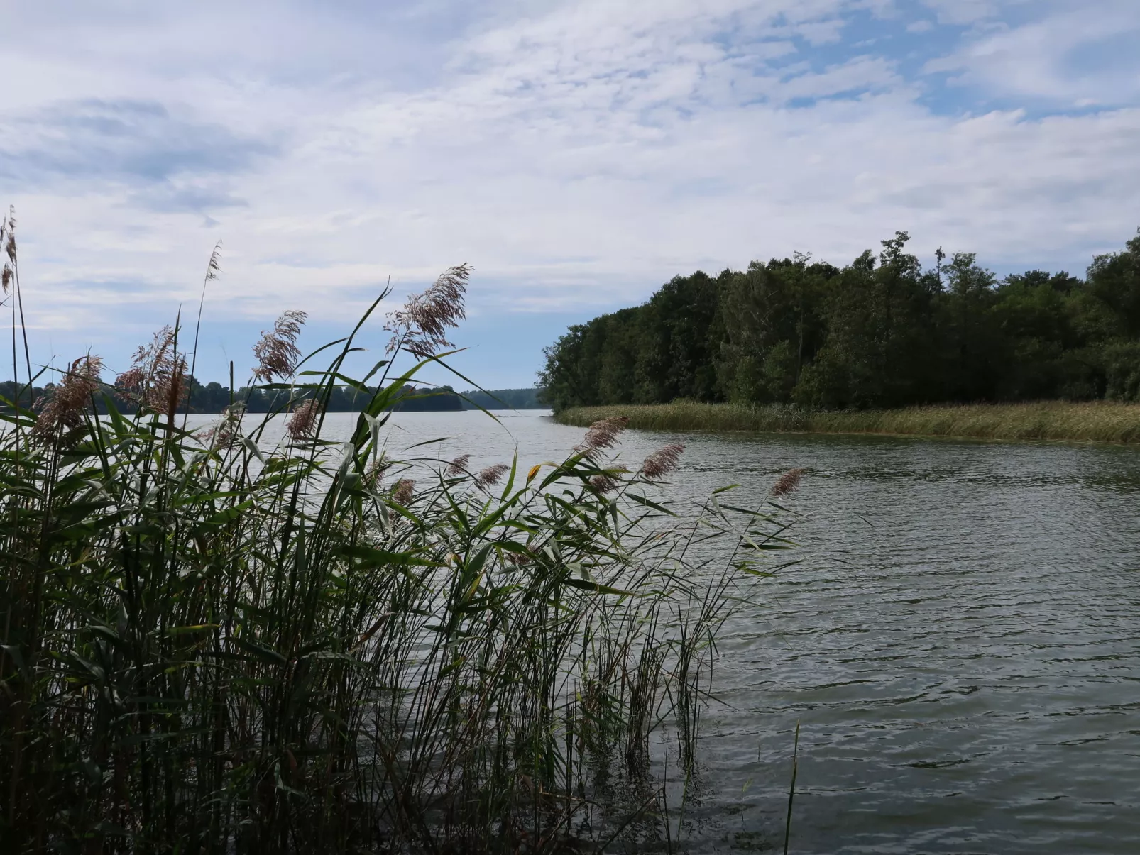 Am Pälitzsee-Buiten