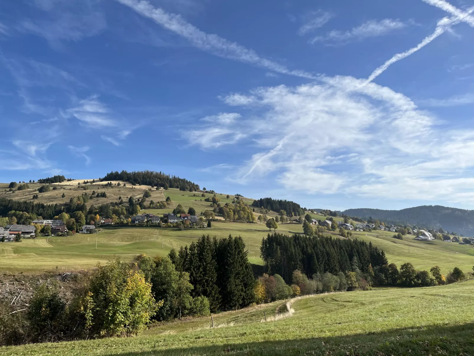 Schwarzwaldblick III-Omgeving