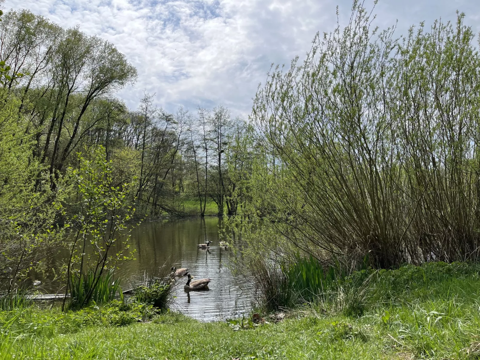 De Bosrand-Buiten