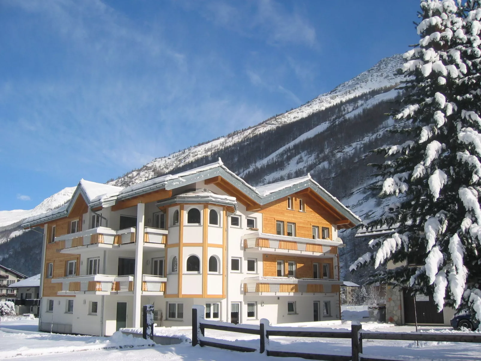 Alpenstern Distel-Buiten