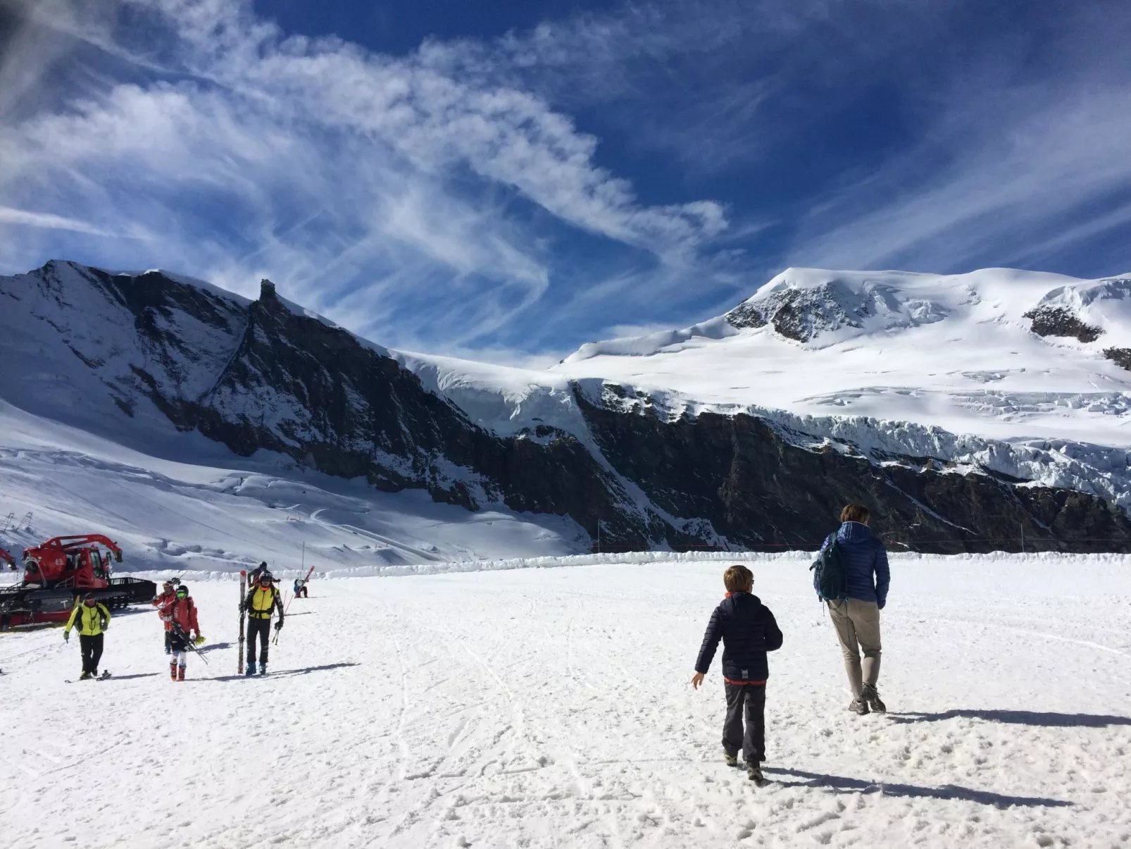 Alpenstern Distel-Buiten