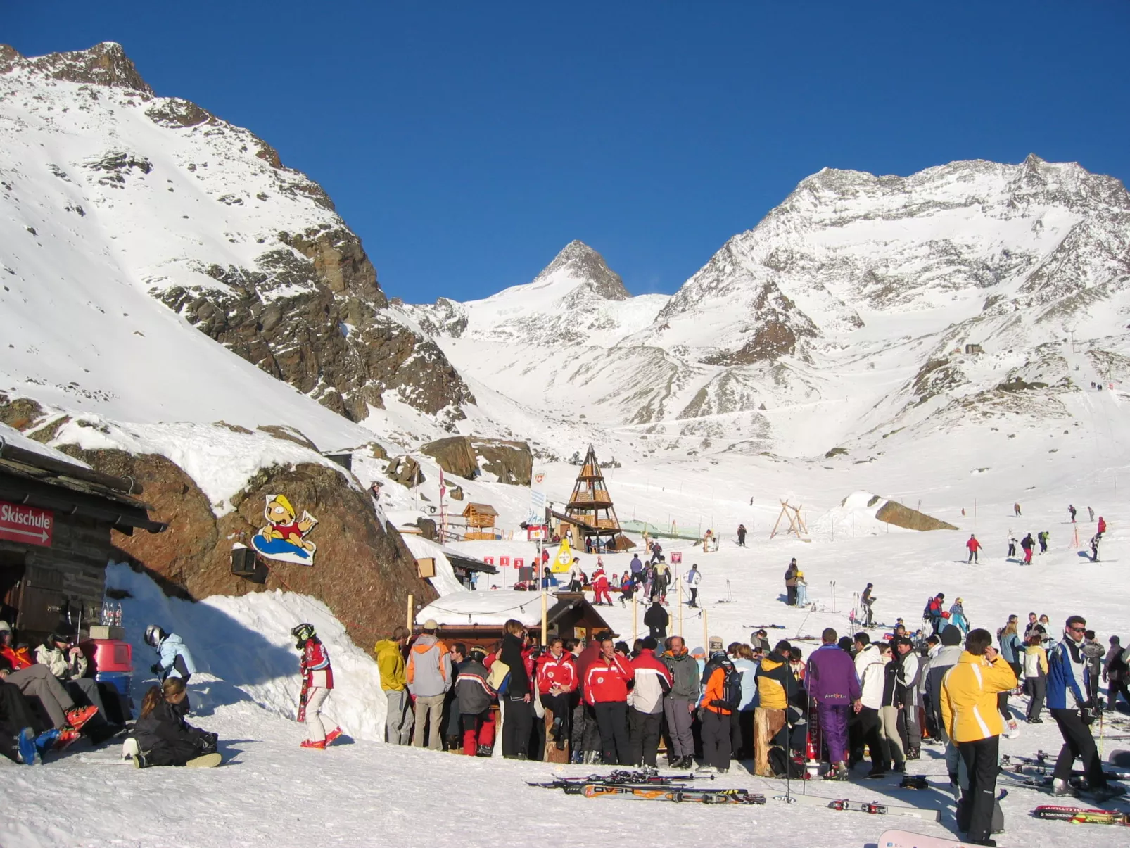 Alpenstern Distel-Buiten