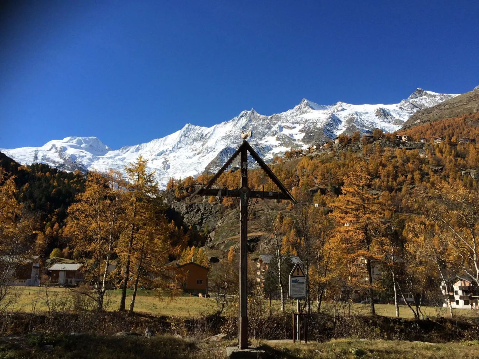 Alpenstern Trift-Buiten