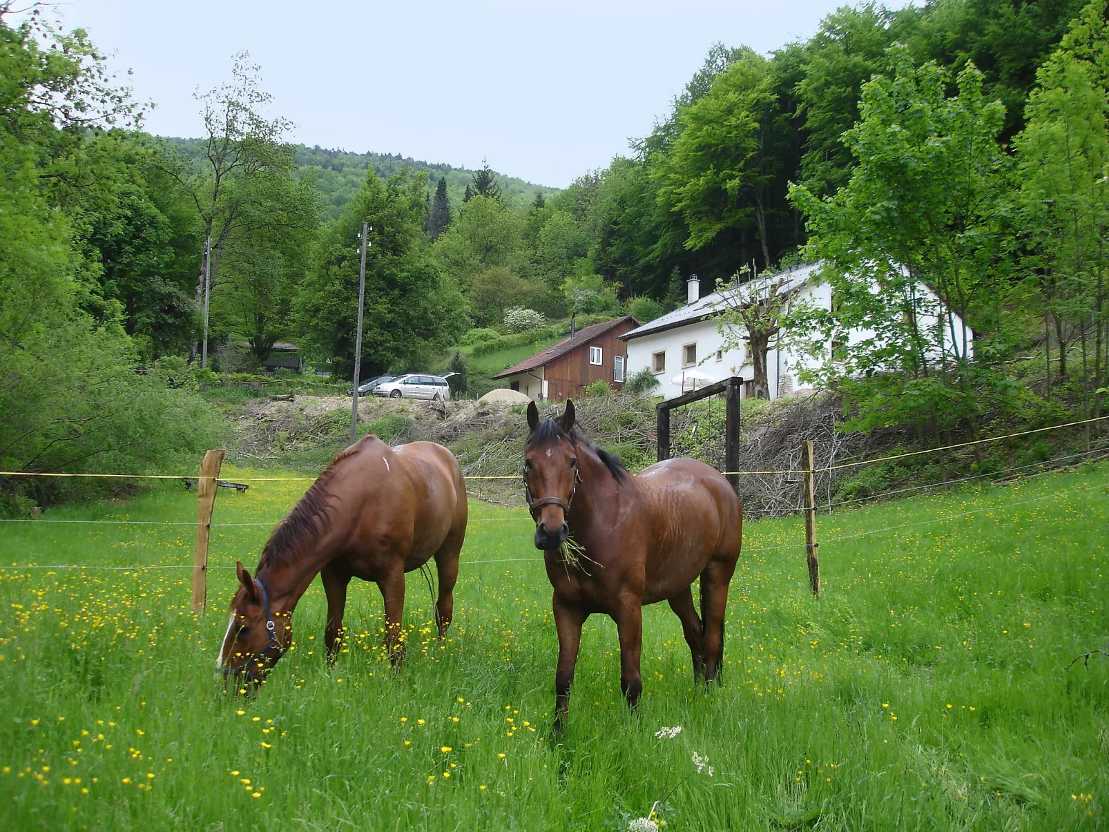 Les Galets-Buiten