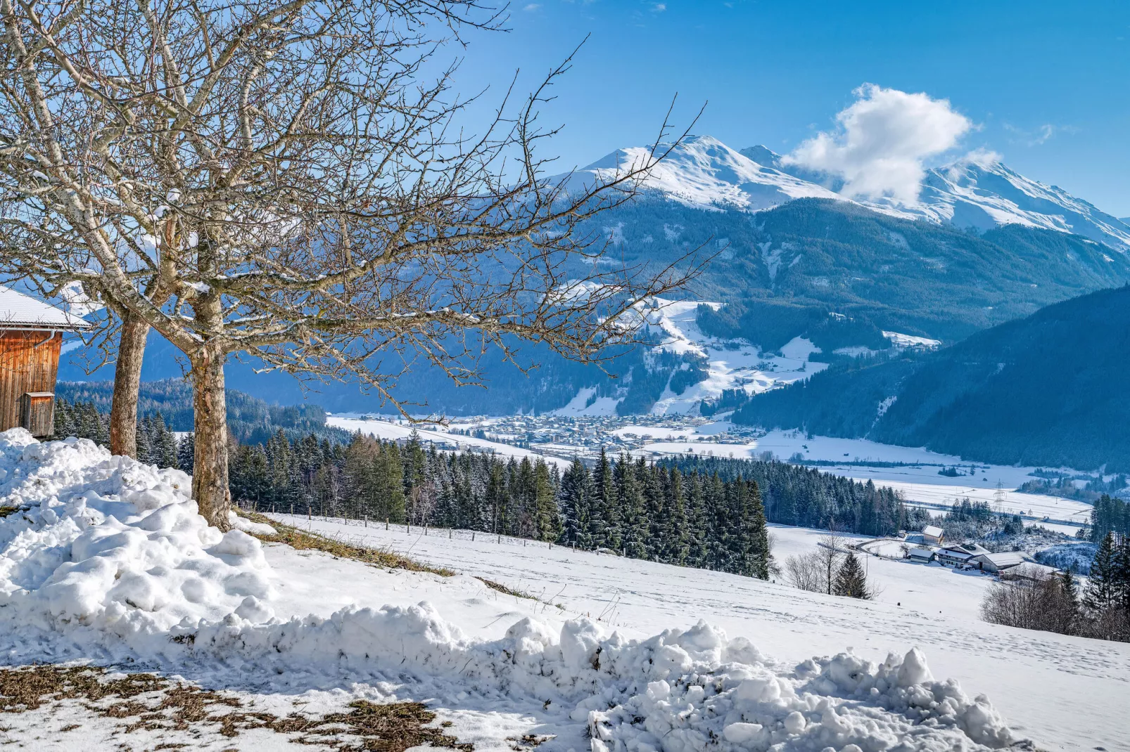 Bergliebe-Gebied winter 1km