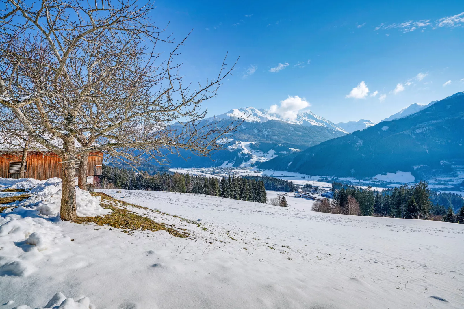 Bergliebe-Gebied winter 1km