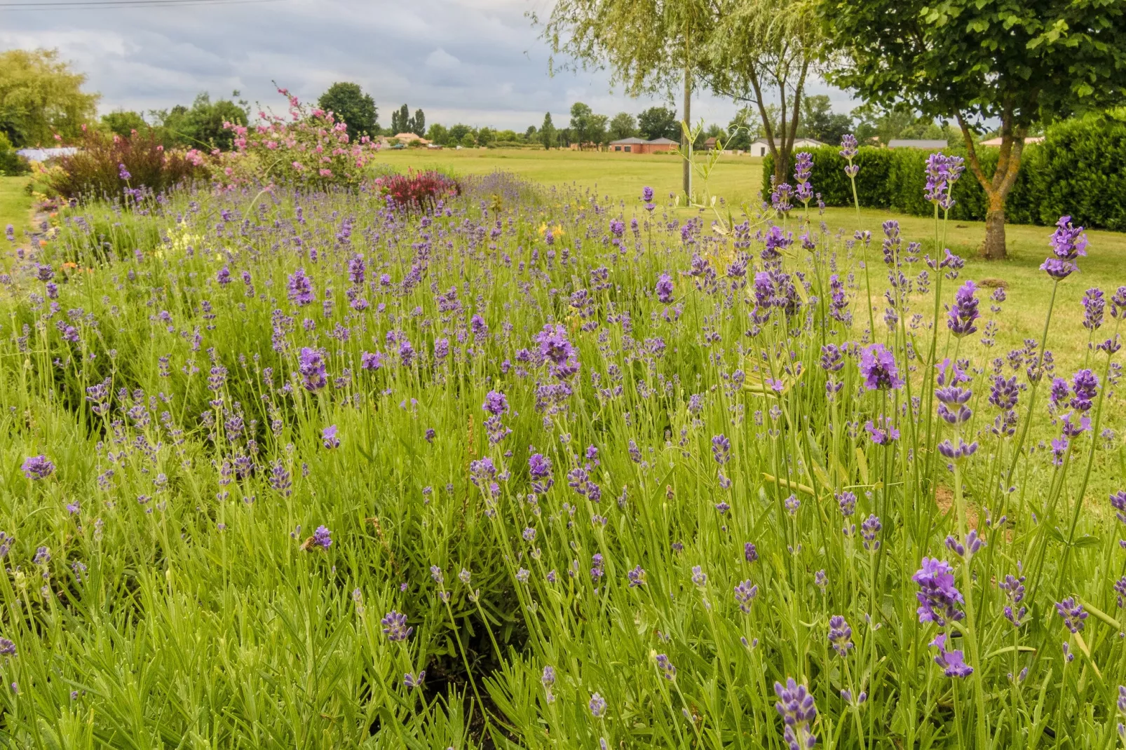 Domaine le Perrot-Gebieden zomer 1km