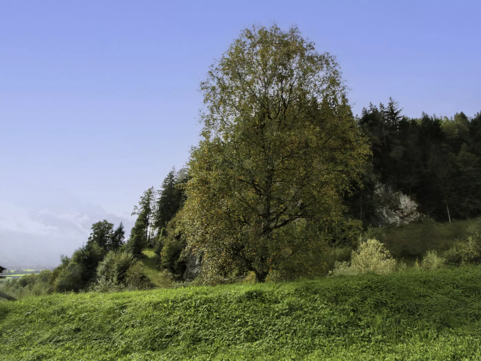 Ratschnhof-Buiten