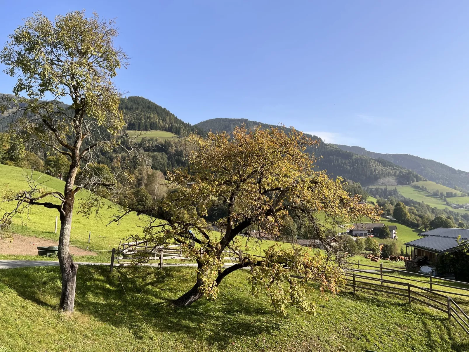 Bauernhof Gasteg-Buiten