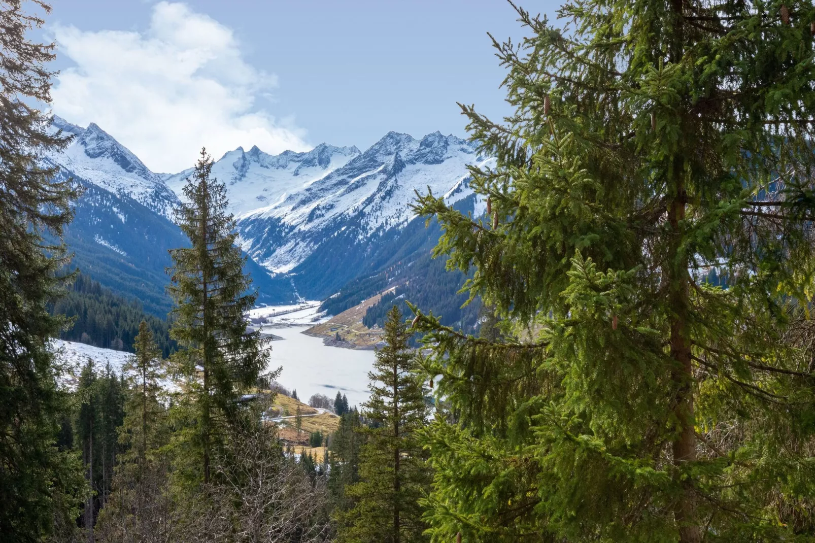 Appartement Zillertal Alpen A-Uitzicht zomer