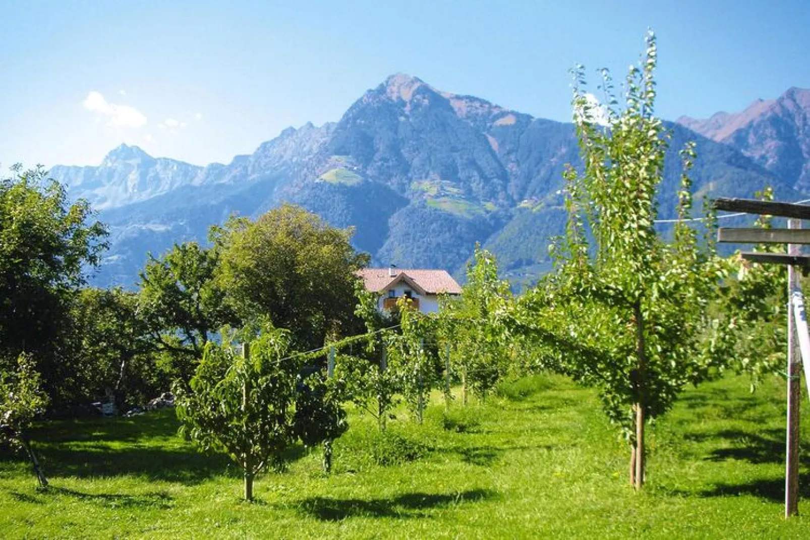 Apartments Etschland -Trilo-Uitzicht zomer