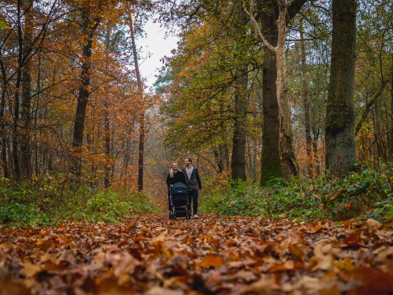 Villa Veluwe 8-Buiten