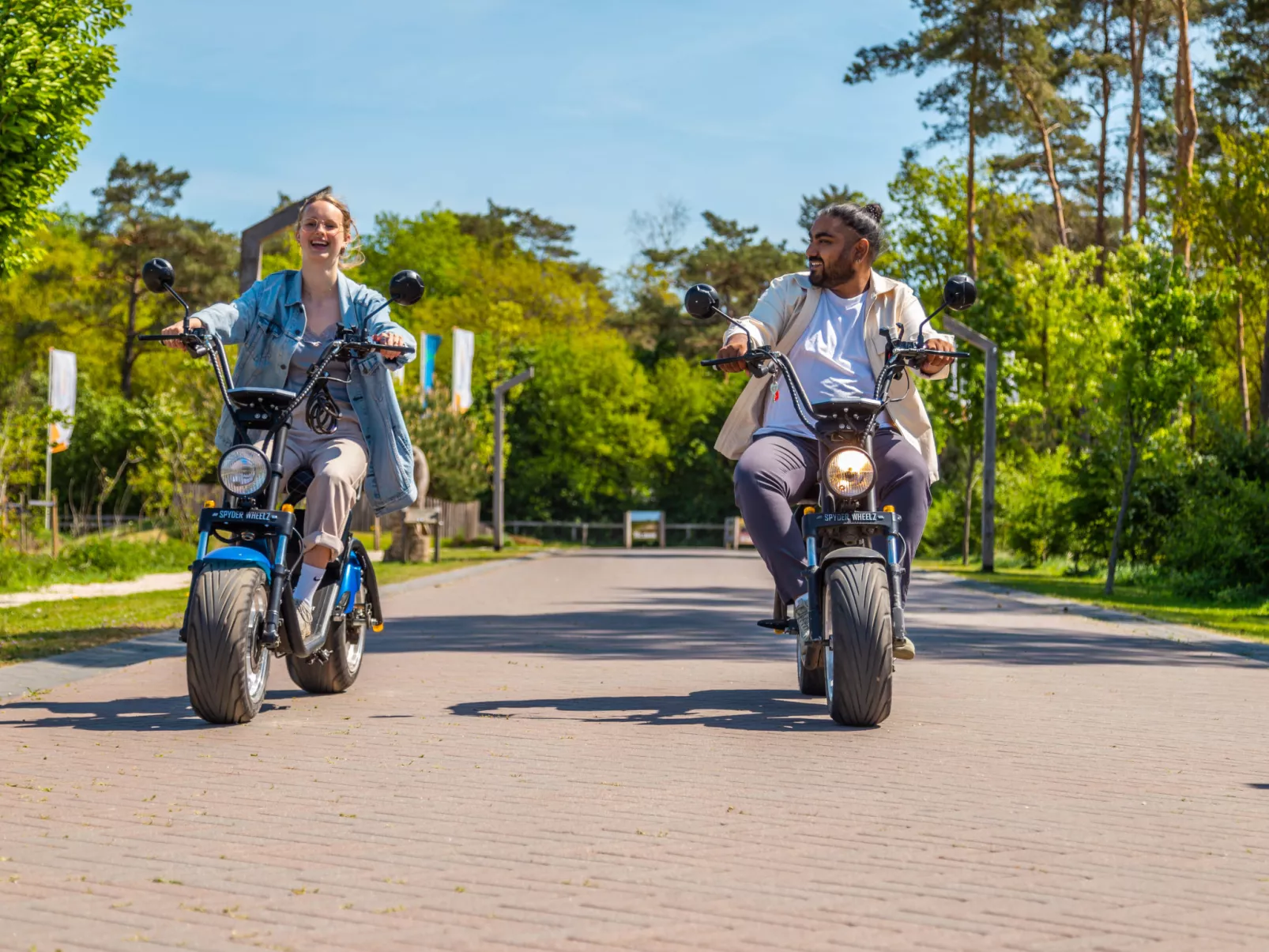 EuroParcs De Wije Werelt-Omgeving