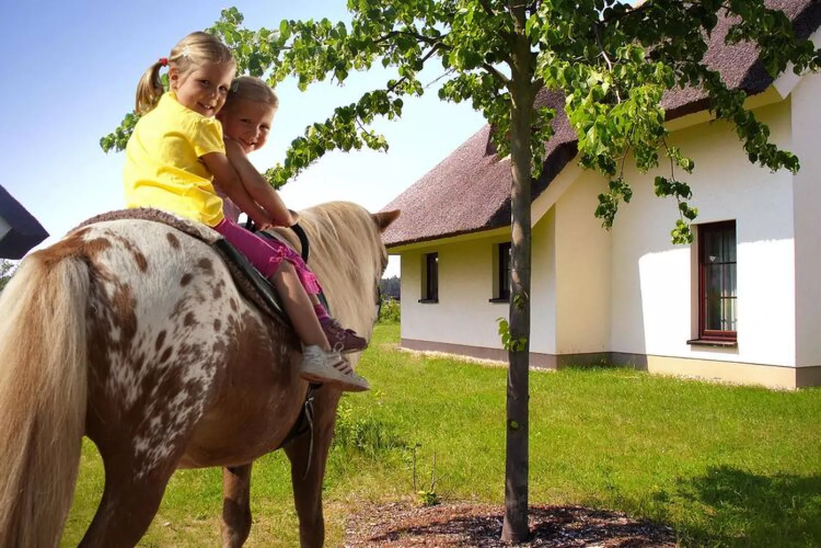 Ferienhaus Typ A 120 qm-Buitenkant zomer