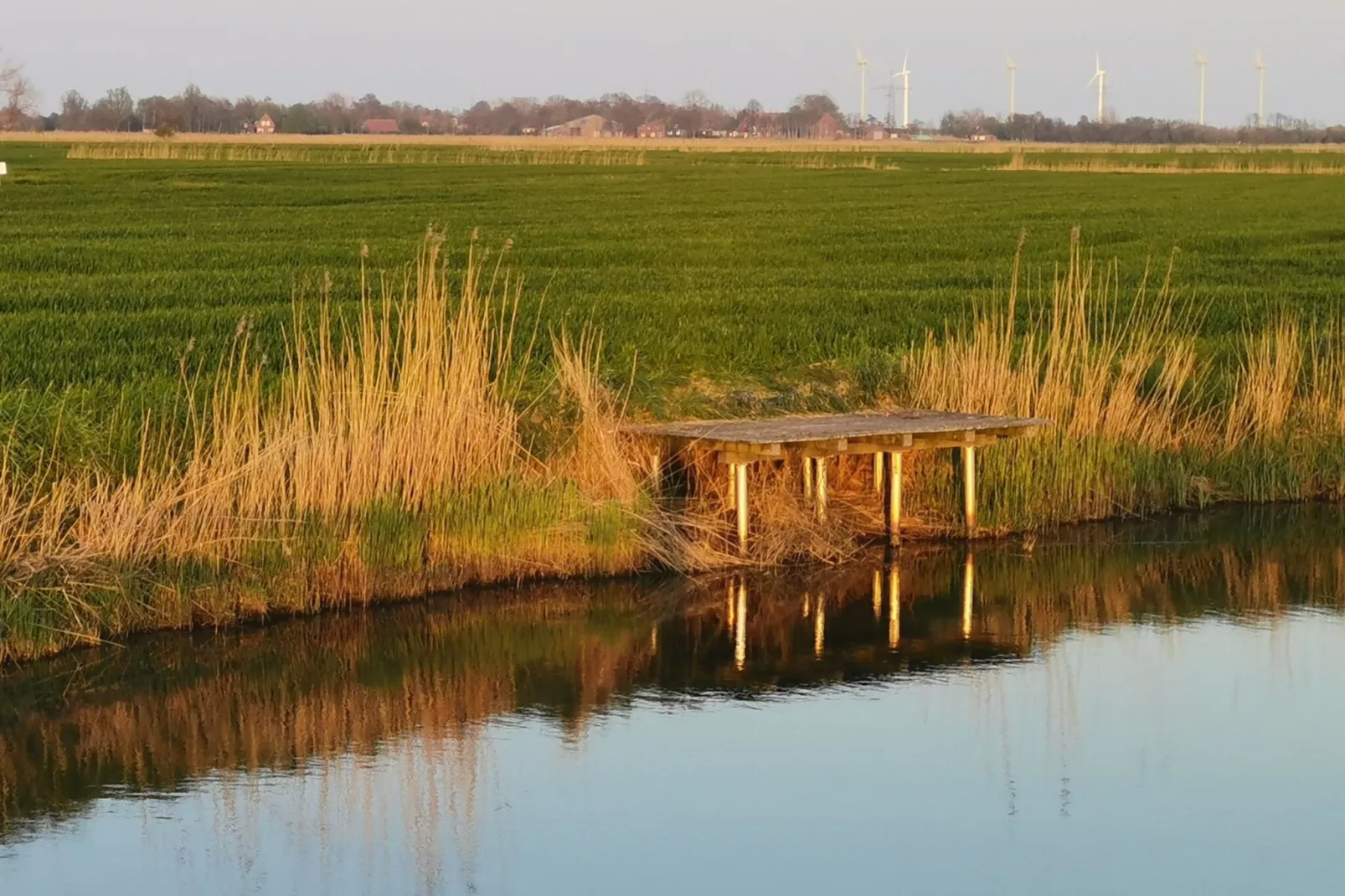 Großes Ferienhaus in ruhiger Lage mit Feldblick-Gebieden zomer 1km