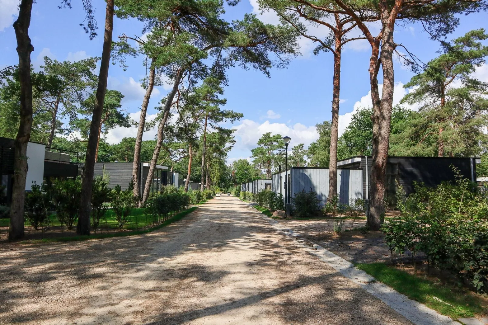 Resort De Zanding 35-Gebieden zomer 1km