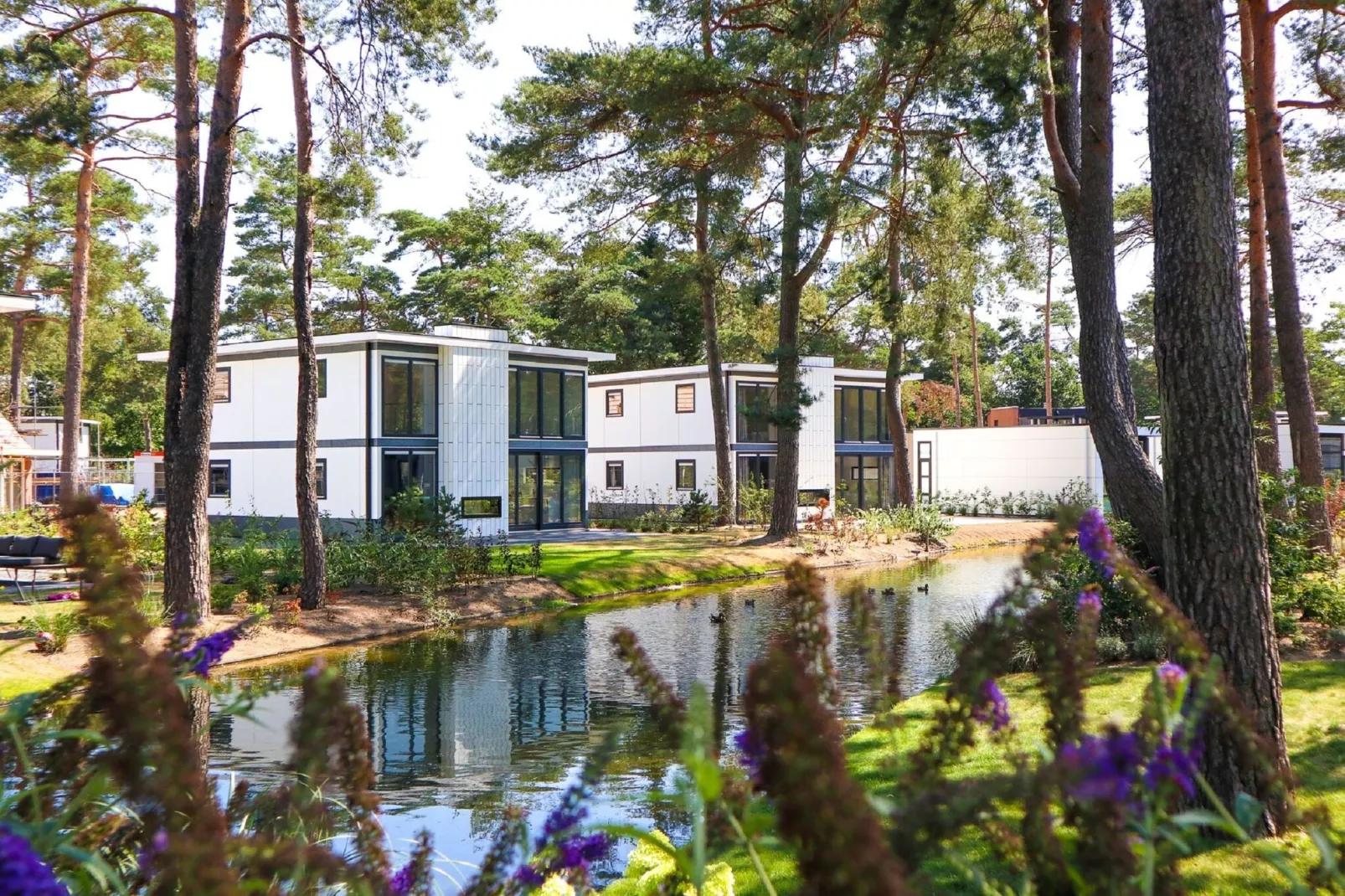 Resort De Zanding 35-Gebieden zomer 1km