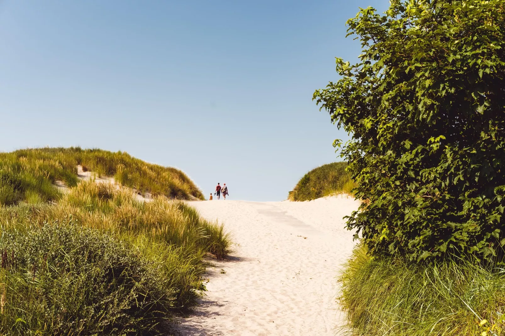 Sea Lodges Ameland 3-Gebieden zomer 5km