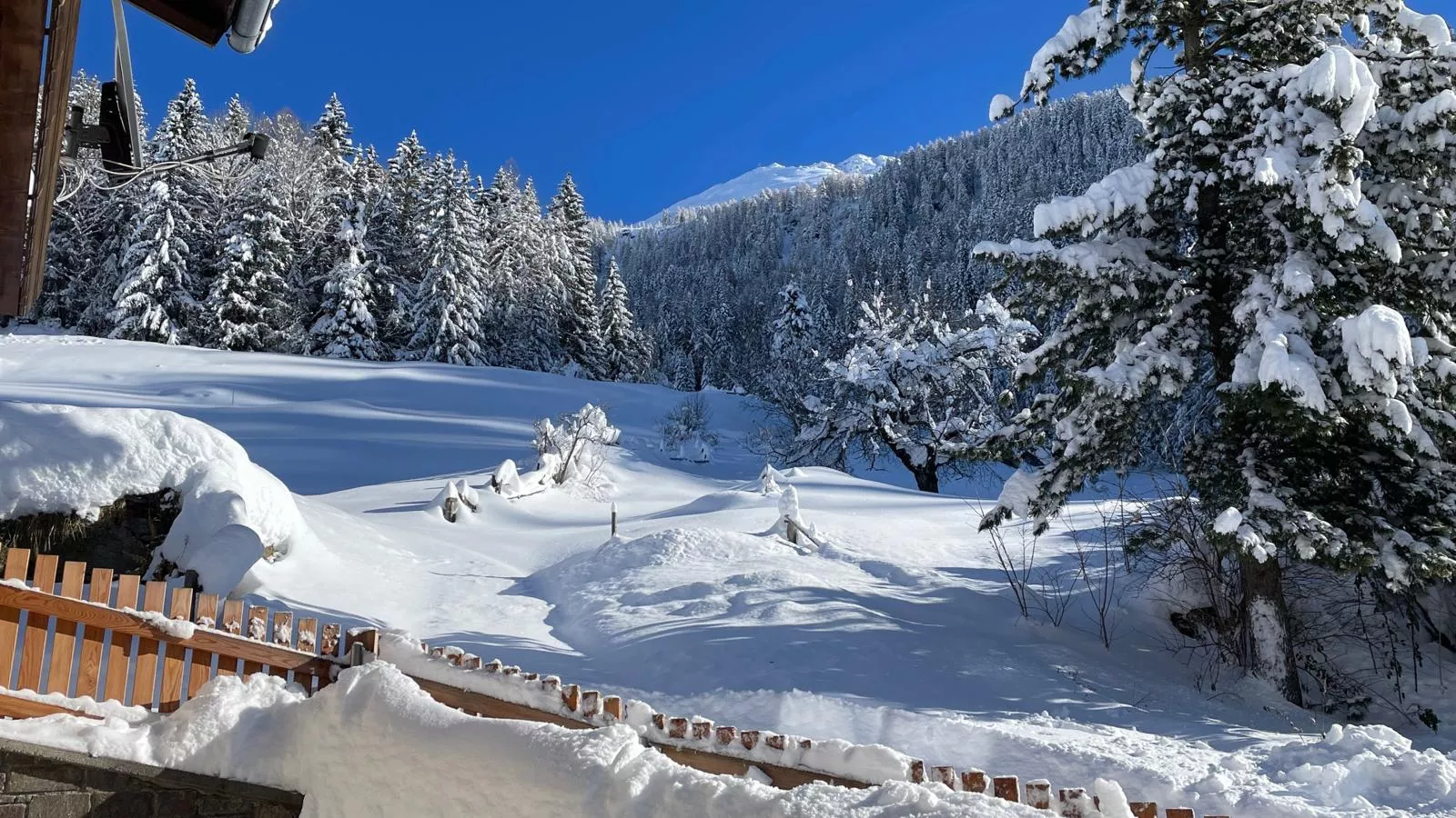 Ferienhaus Wolf-Uitzicht winter