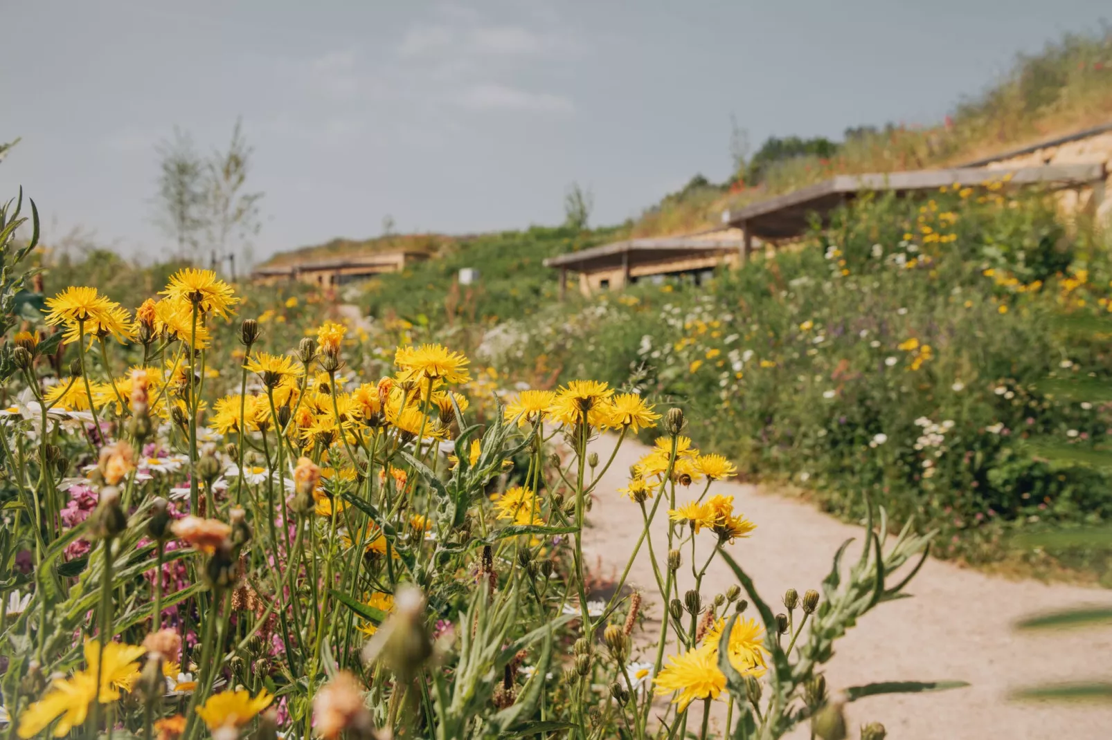 Resort Gulpen 4-Gebieden zomer 1km