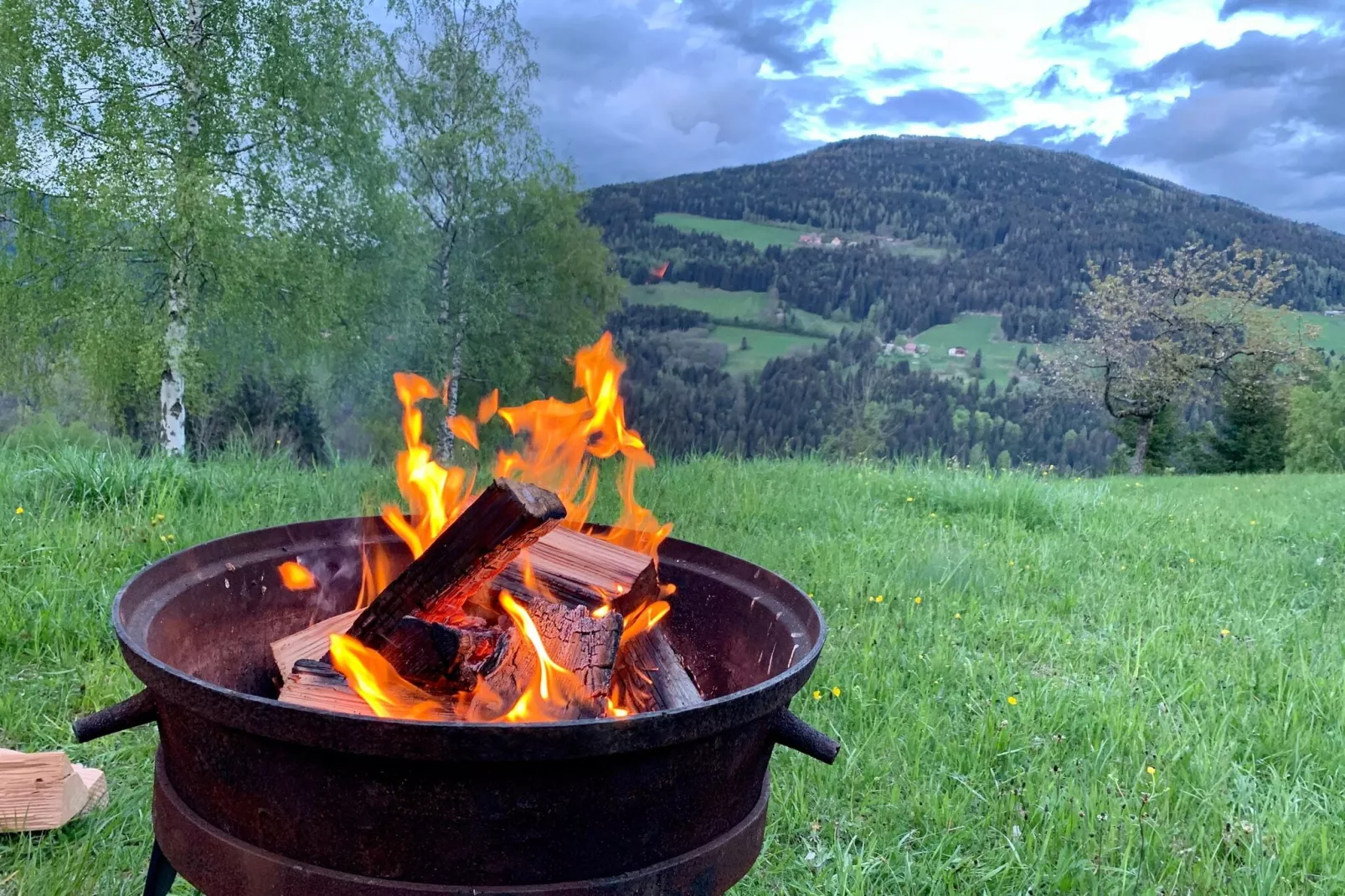 Grafhube Appartements - ganzes Haus-Tuinen zomer